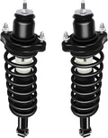 Rear Strut Assembly