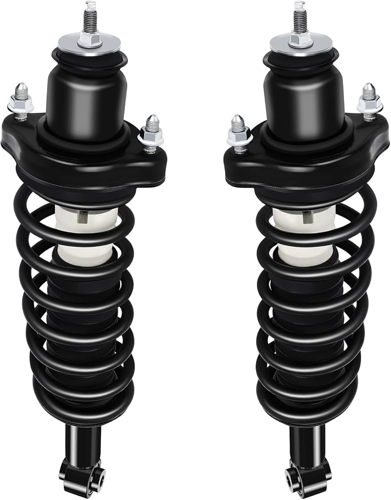 Rear Strut Assembly