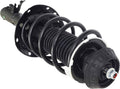 Front Strut Assembly