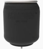 Air Bag- Peterbilt short