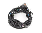 Chassis Wiring Harness (2017 Peterbilt 579/389) peterbilt 2017