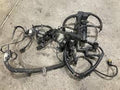 Engine Wiring Harness dd15 2014